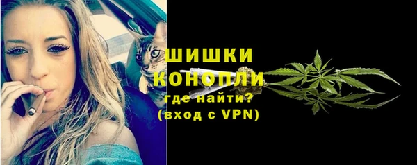 не бодяженный Осташков