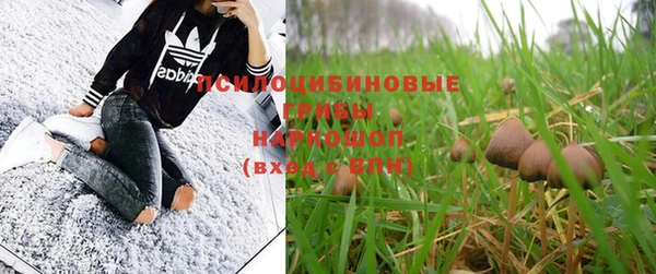 не бодяженный Осташков