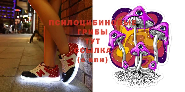 дмт Нязепетровск