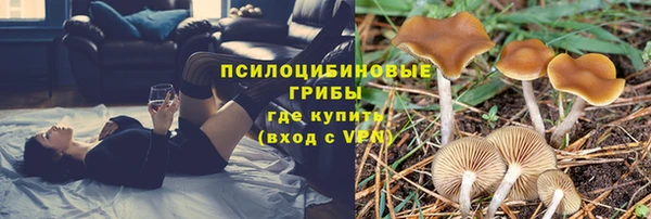 тгк Нягань